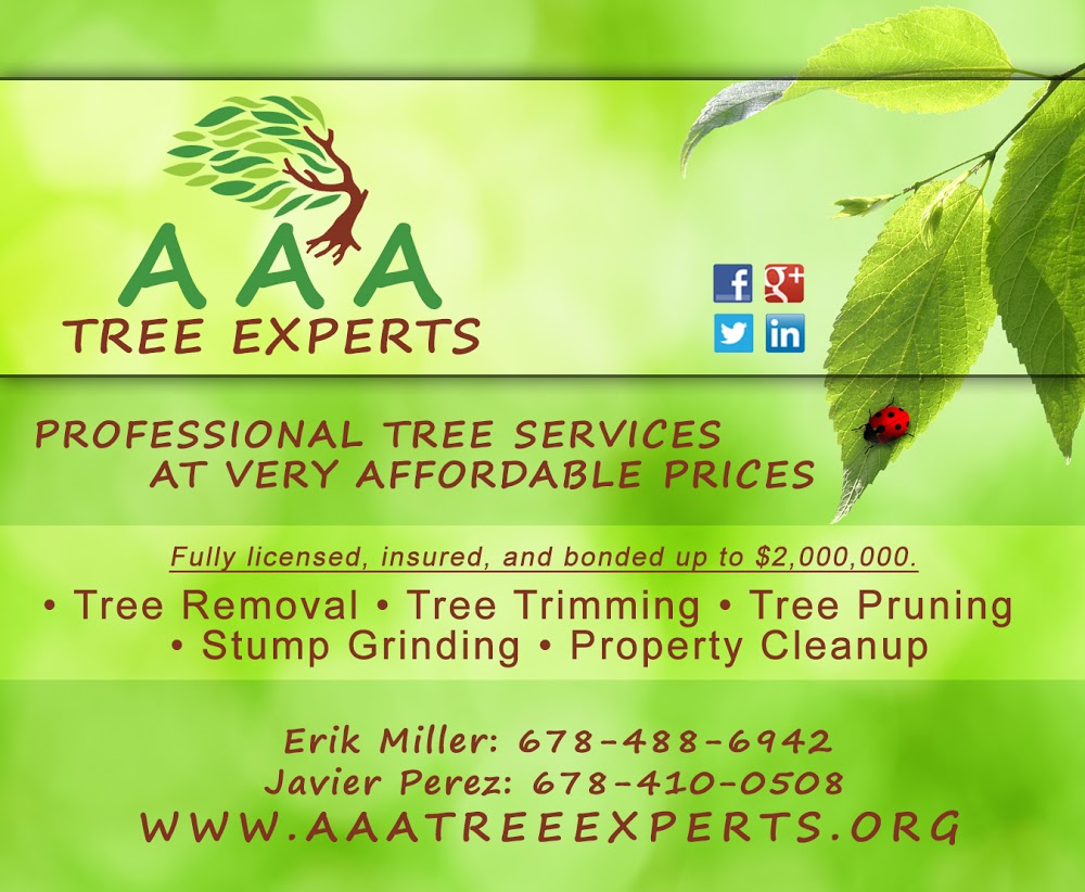 AAA Tree Experts